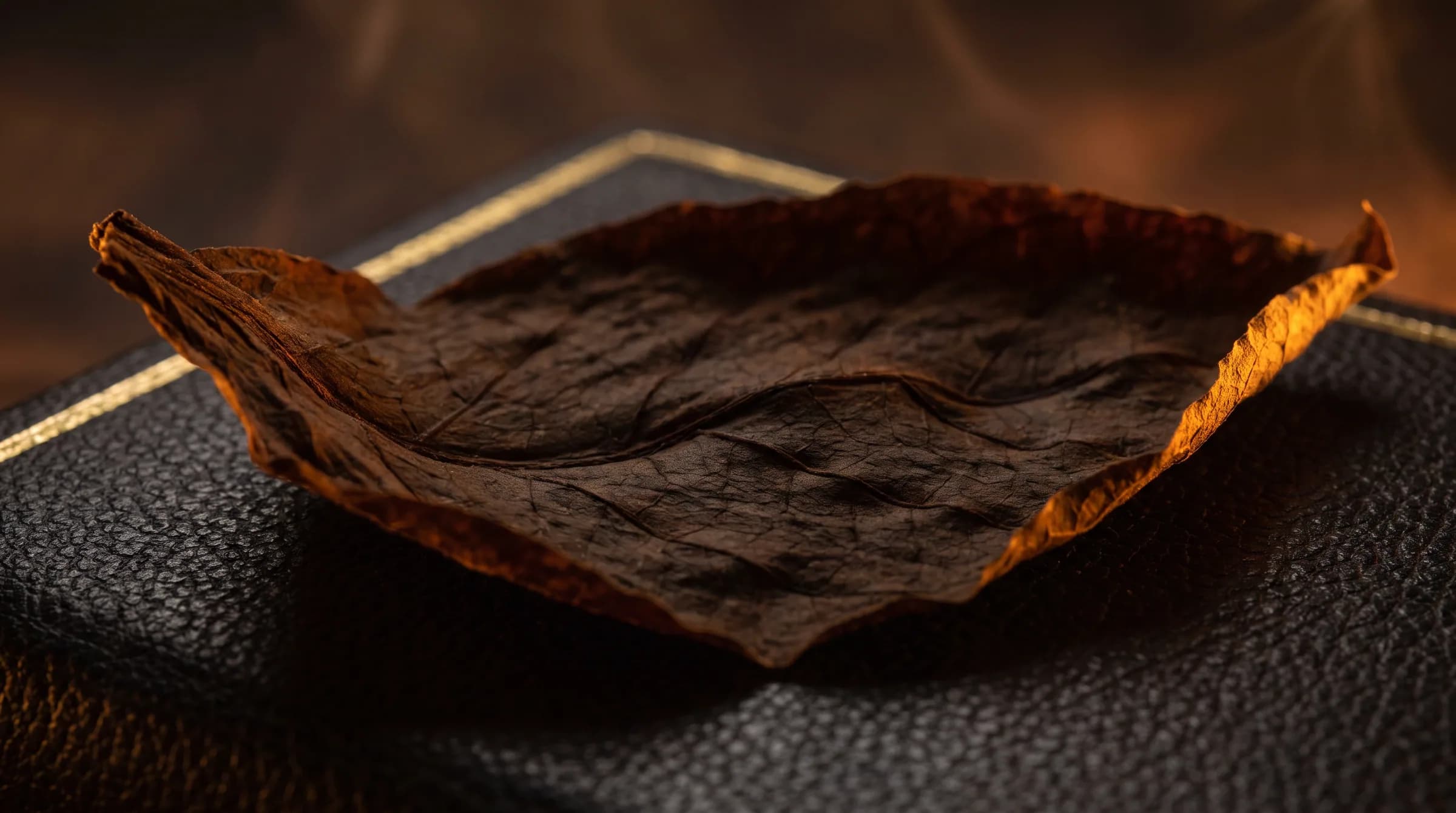 A single dark tobacco leaf resting on a leather-bound book